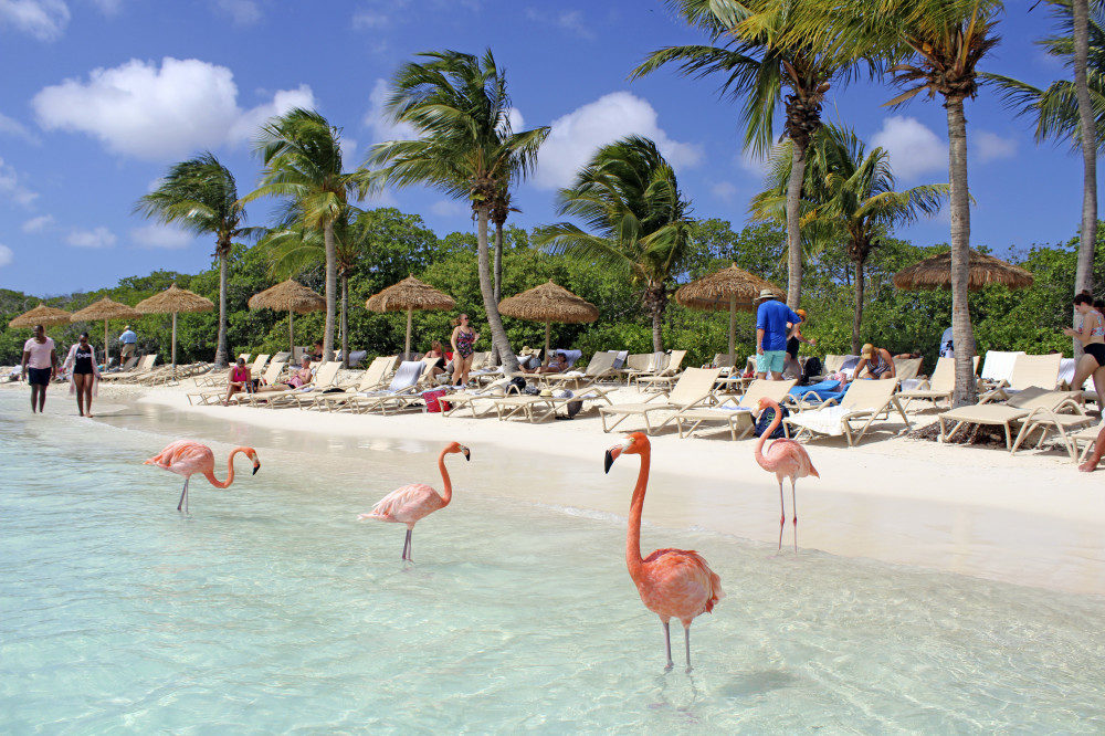 Flamingo Beach der Renaissance Island