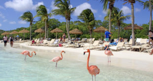 Aruba – Reisen auf „One Happy Island“