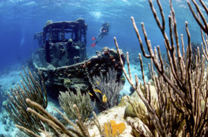 Mystische Unterwasser-Szenerie rund um ein Schiffswrack
