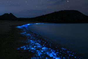 Bioluminescent Mosquito Bay in Puerto Rico