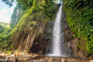 Spektakuläre Dark-View-Wasserfälle, St. Vincent und die Grenadinen